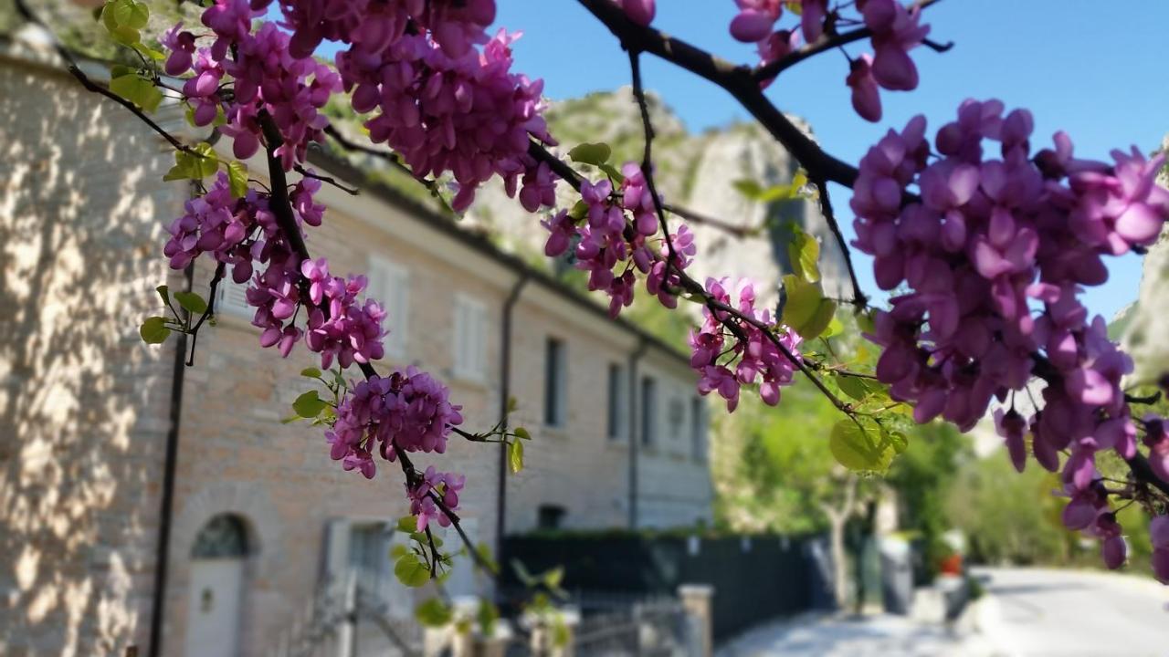 B&B Aquilegia Акваланга Экстерьер фото